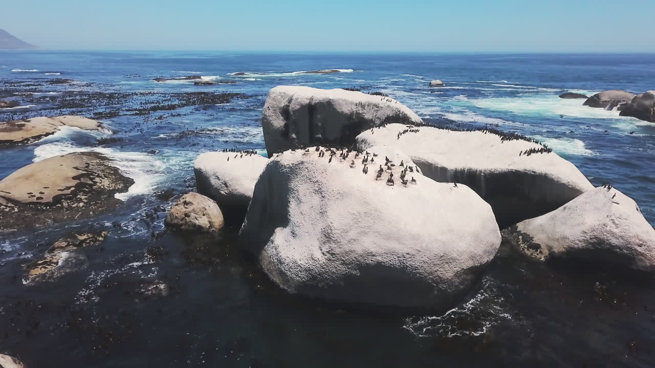 세상은 그들의 고향입니다.