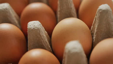 video de primer plano de huevos marrones en fondo de cartón de huevos