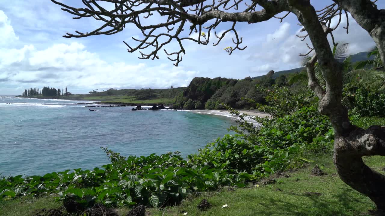hawai con vistas al océano