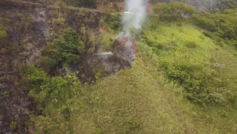 Aerial-flying-towards-unrecognizable-firefighter-putting-out-vegetation-fire