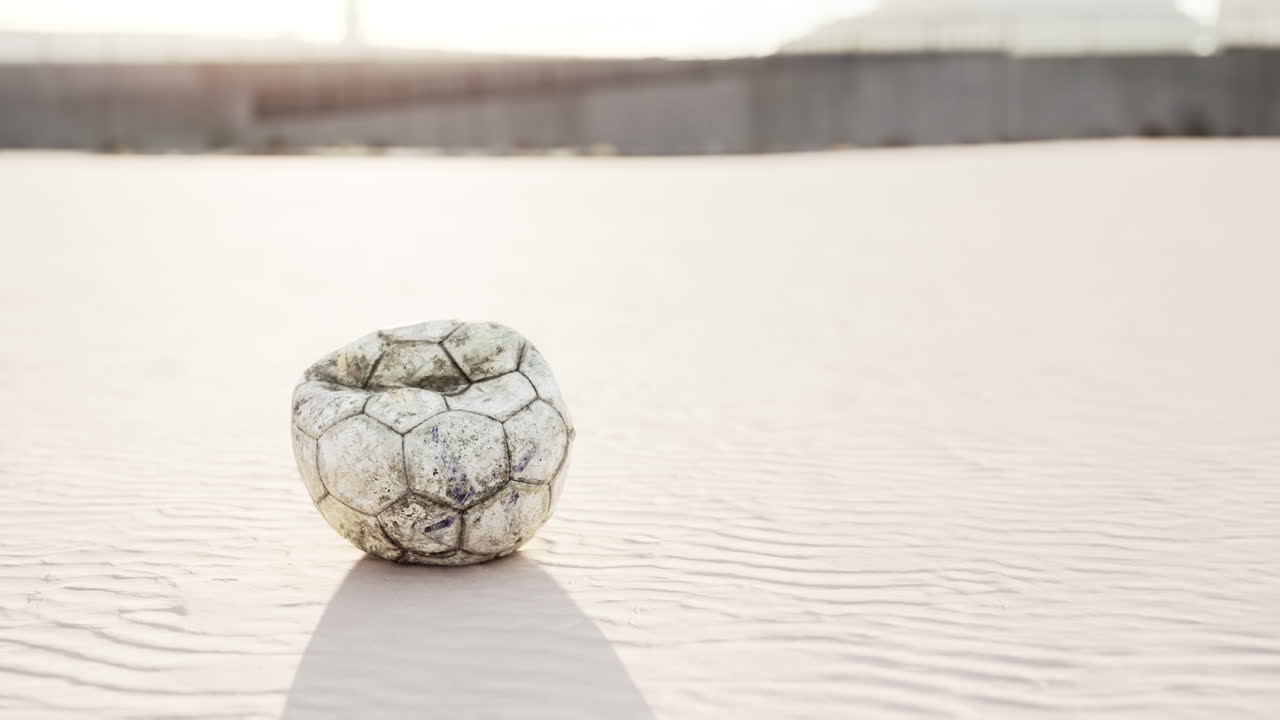 땅에 있는  ⁇ 은 공