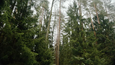 ogre of latvia in the month of february