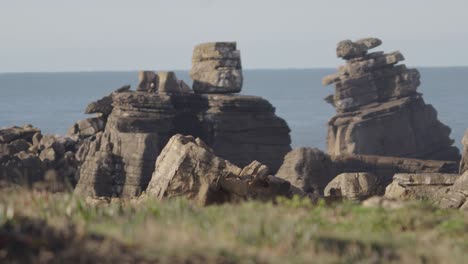 Eroded-layers-of-stone-reefs,-Portugal-coast-near-Peniche,-refocus-view-from-grass