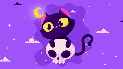 cute black cat on a skull