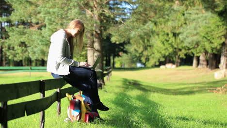 Young-woman-sitting-on-a-rustic-fence