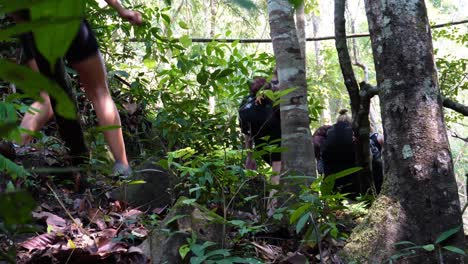 A-group-of-young-and-adventurous-backpackers-is-trekking-and-hiking-in-the-tropical-jungle-of-Umphang-located-in-North-Thailand-on-a-clear-blue-day-in-Asia