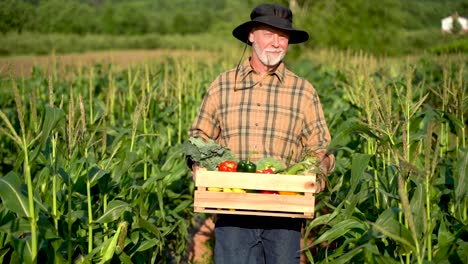 Nahaufnahme-Eines-Landwirts,-Der-Eine-Kiste-Mit-Bio-Gemüse-Trägt,-Blick-In-Die-Kamera-Bei-Sonnenlicht,-Landwirtschaft,-Bauernhof,-Feld,-Ernte,-Garten,-Ernährung,-Bio-Frische,-Porträt,-Zeitlupe-Im-Freien