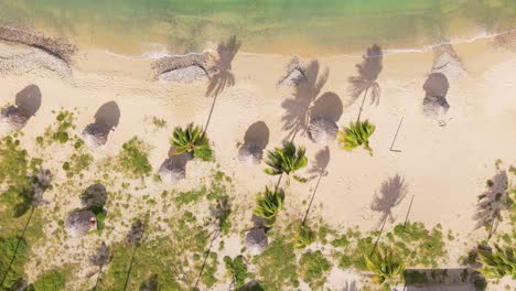 Sombrillas-De-Bungalows-De-Playa-Tropical-Proyectan-Largas-Sombras-En-La-Costa-De-Arena-Dorada,-Descenso-Aéreo