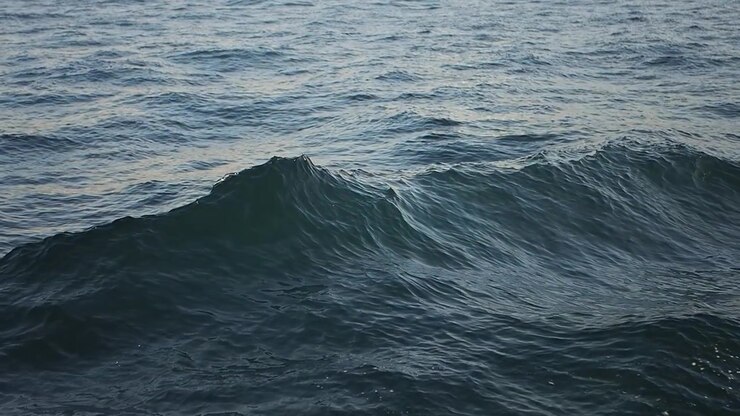 Gentle Ocean Waves Rolling on the Surface of the Sea