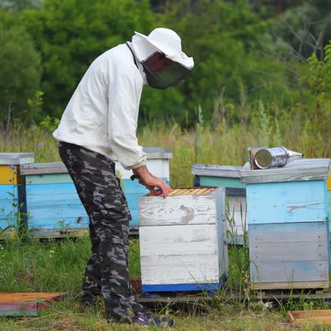 beekeeper is working with bees and beehives on the apiary. beekeeper on apiary