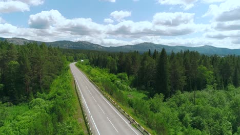 mountain road through forest