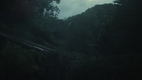 dark and obscure view of shed and trees outside