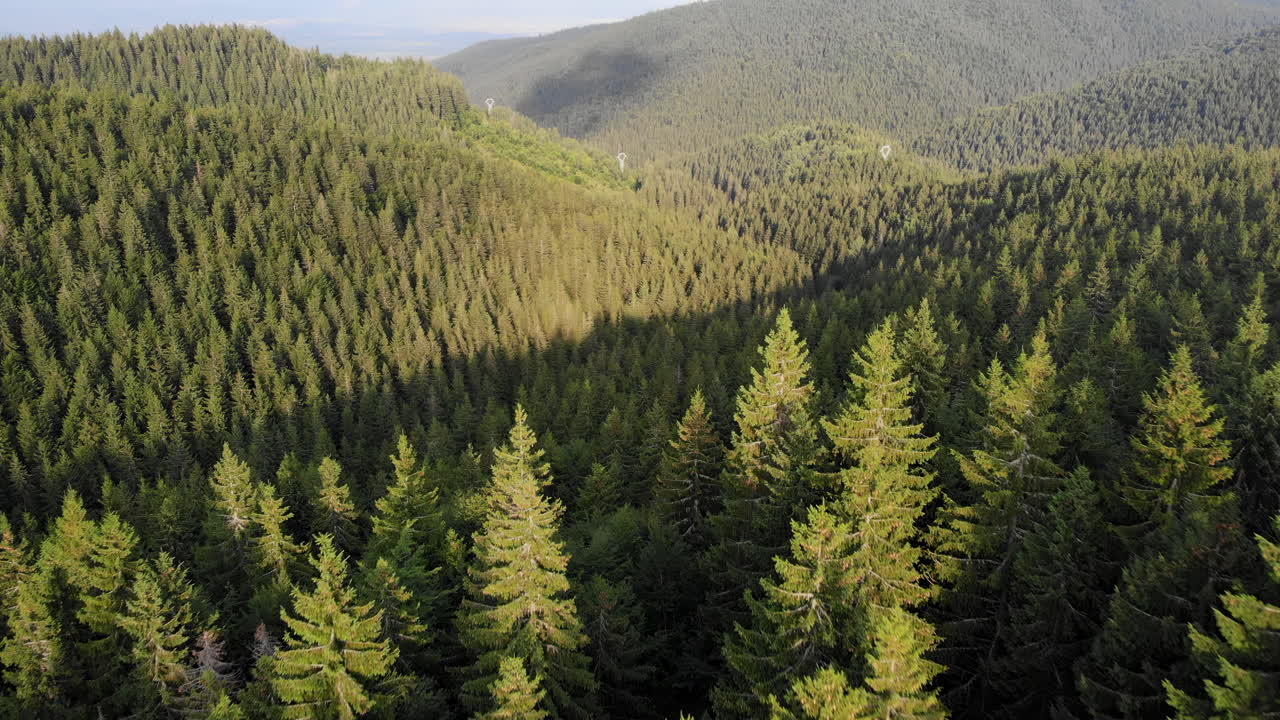 Scopri foreste verdeggianti e vivaci incastonate in un paesaggio montano mozzafiato durante l'ora d'oro. La bellezza tranquilla della natura invita al relax e all'esplorazione.