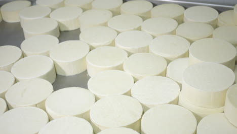 panning shot of cheeses in winery