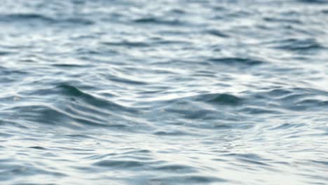 sea wave close up, low angle view, background loop