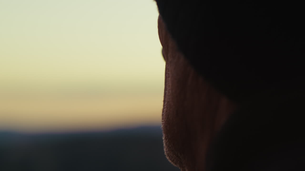 silueta de un caballero mira el cielo al atardecer en el exterior de invierno