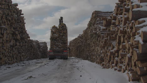 Maquinaria-Pesada-Descargando-Madera,-Vista-Estática-Trasera