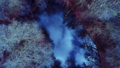 AERIAL:-small-lake-in-the-Belgium-ardennes-during-winter