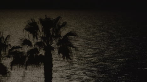 silhouetted palms against sea