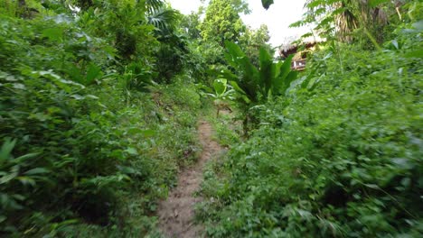 Hiking-in-Narrow-Rainforest-Path-Towards-Shed,-Santa-Marta,-Colombia,-POV