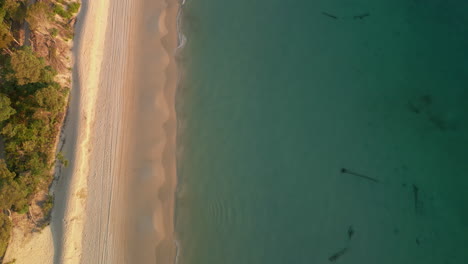 Luftdrohne-Folgt-Weißem-Sandstrand,-Türkisfarbenem-Inselwasser-Im-Tangalooma-Schiffswrack,-Idyllischem-Naturziel-Für-Touristen