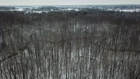 Luftaufnahme-Von-Bäumen-Und-Schnee