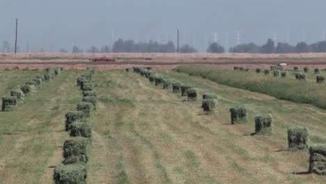 Fardos-De-Heno-En-El-Campo-En-California,-Estados-Unidos