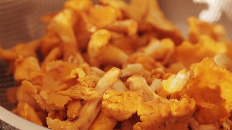 Cooking chanterelles closeup macro, grilled Mushrooms closeup. Roasted chanterelles and a wooden spoon.