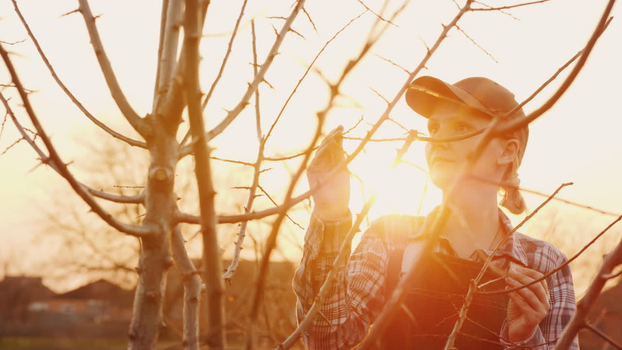 retrato de una joven jardinera examinando ramas de árboles al atardecer