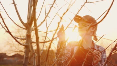 Retrato-De-Una-Joven-Jardinera-Examinando-Las-Ramas-De-Los-árboles-Al-Atardecer