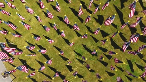 rising, top-down drone shot of american flags in the town of cohasset during the day waving in the wind 1080p