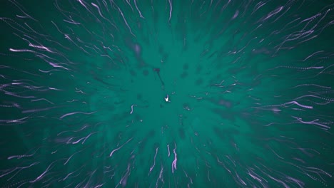 animación digital de un rastro de luz púrpura estallando contra un fondo verde