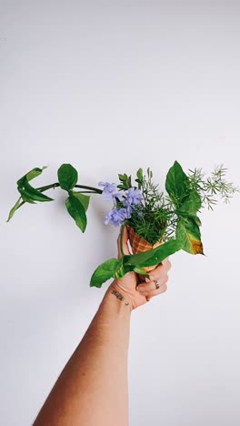 creative arrangement of flowers and plants in an ice cream cone