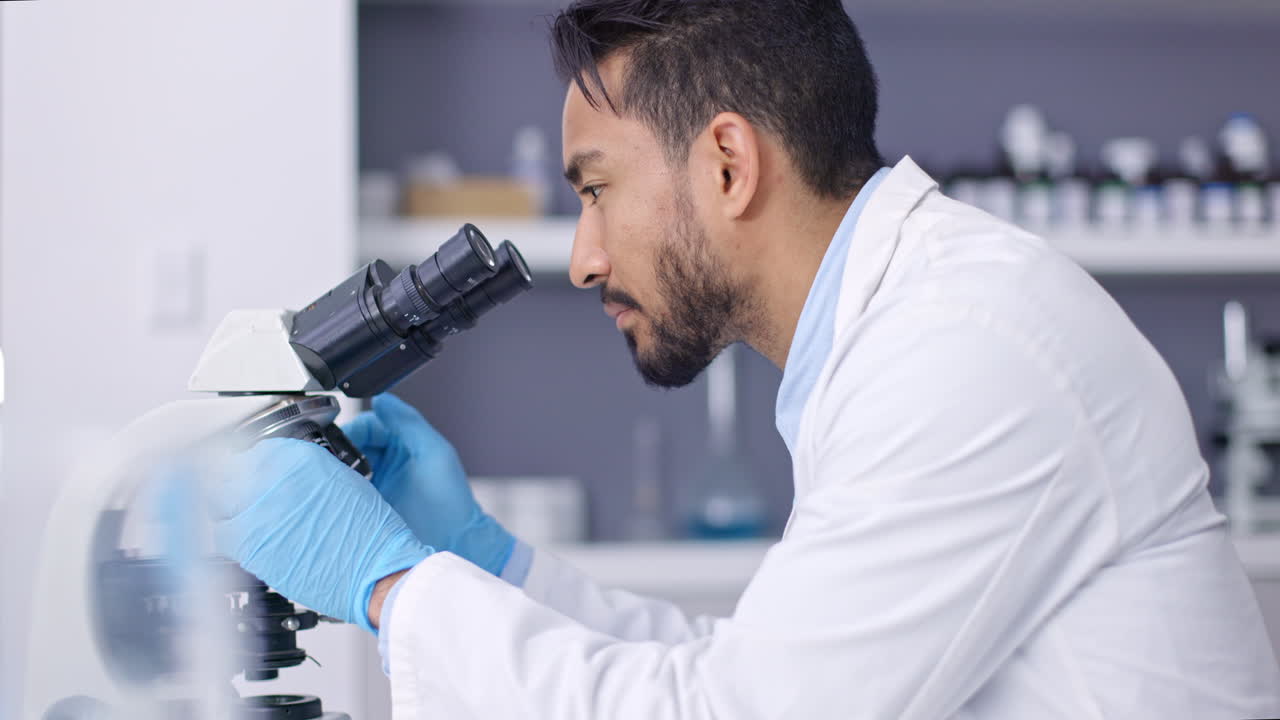 Microbiology, research and scientist