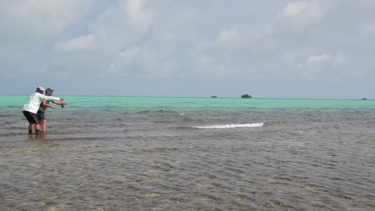 albula, bone, bonefish, casting, fish, fisherman, fishing, flats, fly, island, sea, silver, tropical, vacation, vulpes, water, adventure,