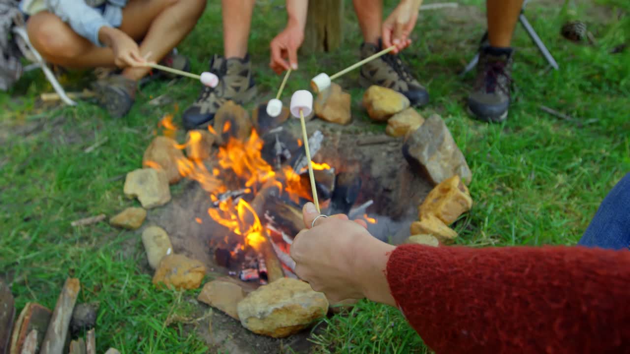 캠프 불 위에서 마시멜로를  ⁇ 는 친구들 4k