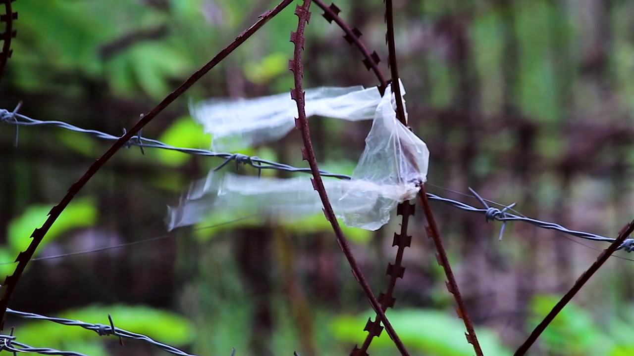 Rifiuti di plastica su una recinzione di filo spinato che soffiano nel vento. Immagine potente per campagne su inquinamento, consapevolezza ambientale, rifiuti, sostenibilità e cambiamento climatico