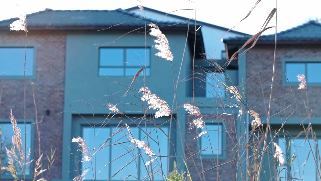 川のそばに建つ、日本瓦の屋根、大きな反射ガラス、露出したレンガと漆喰の壁が特徴の現代建築の家。手前にはパンパスグラスが見える。