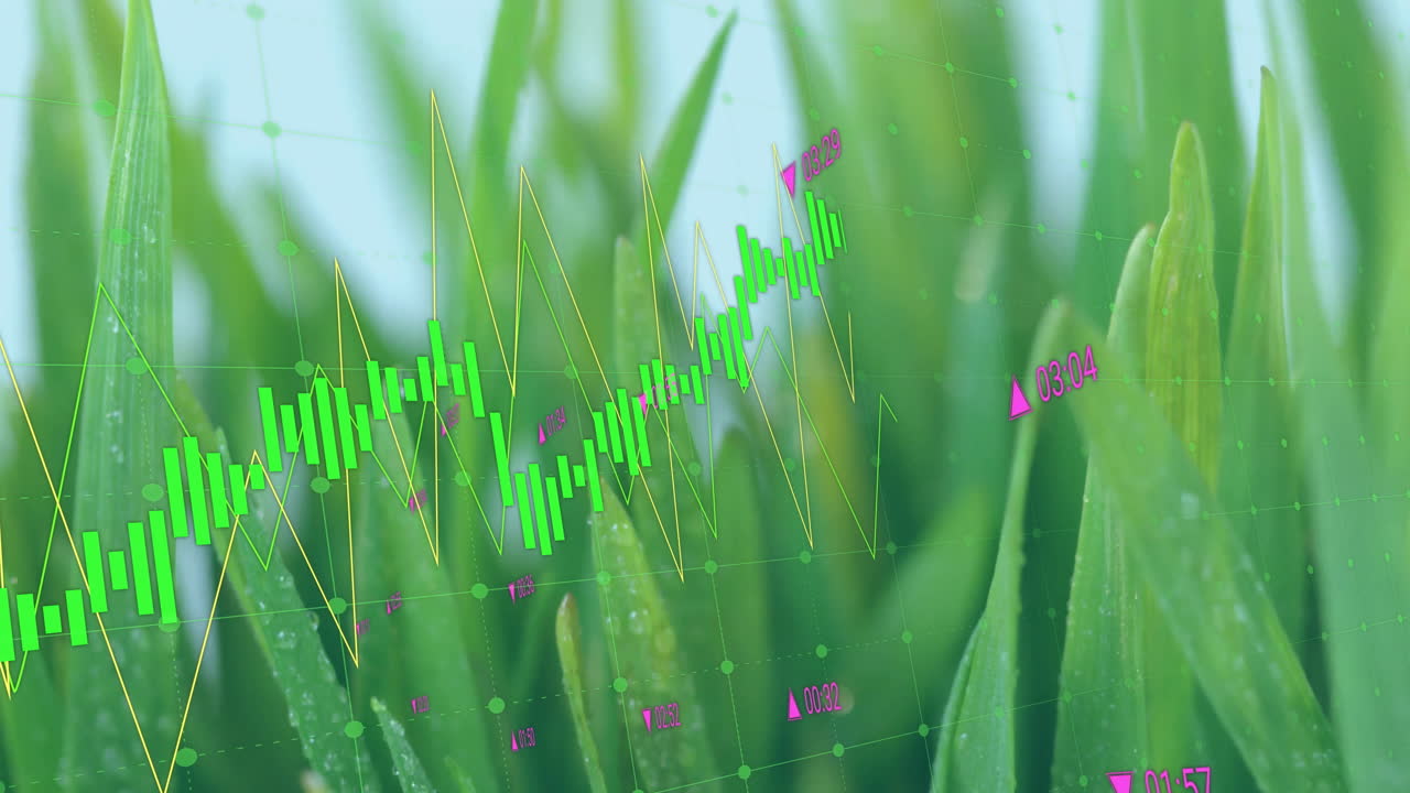 Animating dew covered grass blades overlaid with green candlestick bars and yellow line graph grid