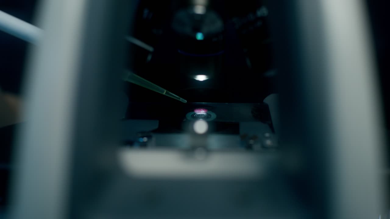 현미경 플 준비