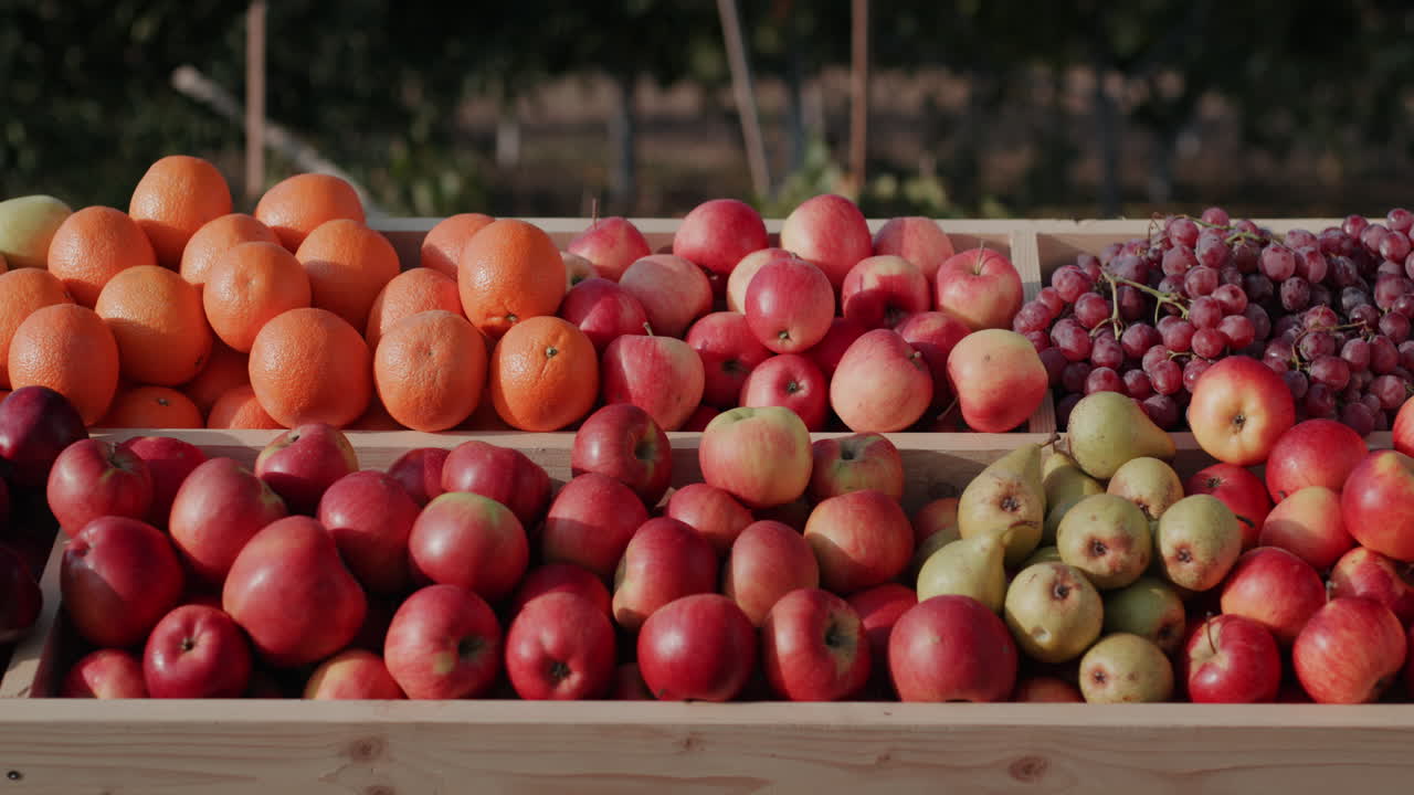 un mostrador con jugosas manzanas y otras frutas 1