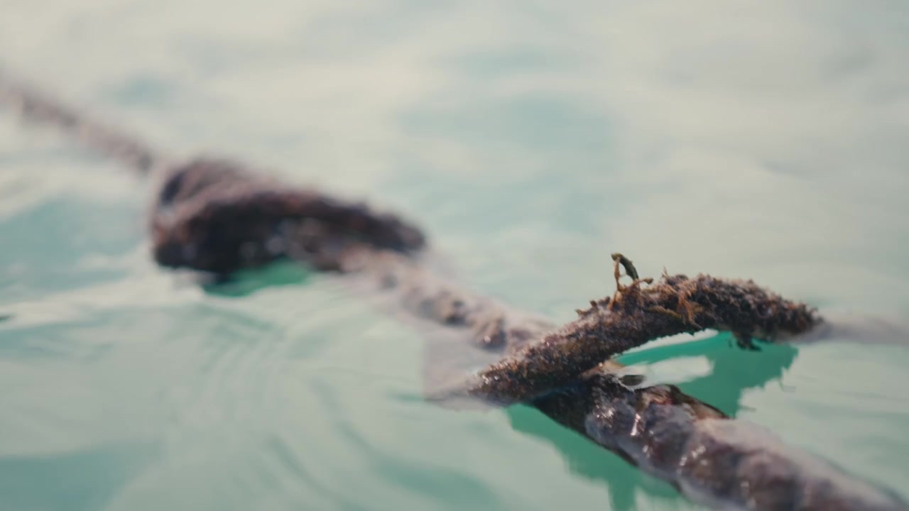 Close up of an old thick mooring rope floating on calm blue sea water