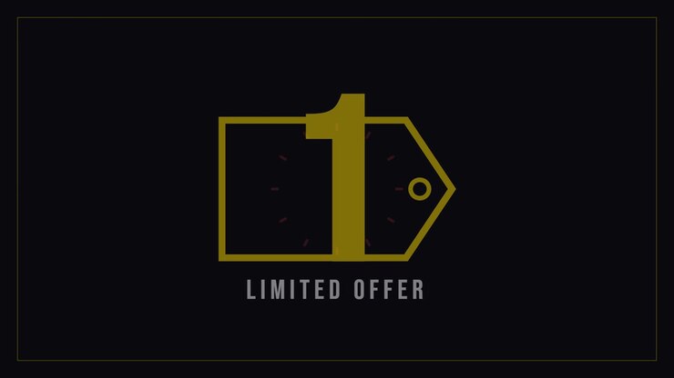 Animated Countdown Timer for Limited Offer Promotion
