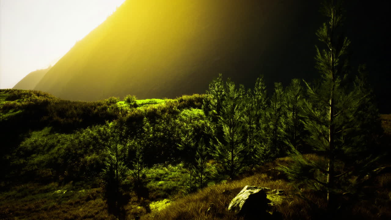 Sunlight casts warm glow over lush green hills in serene landscape