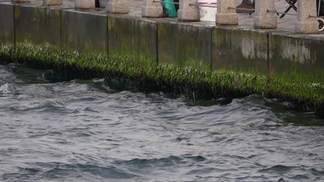waves crashing against a pier with algae