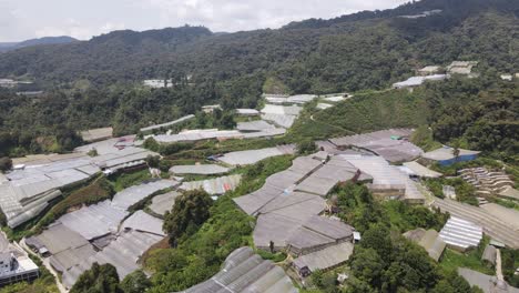 general landscape view of the brinchang district within the cameron highlands area of malaysia