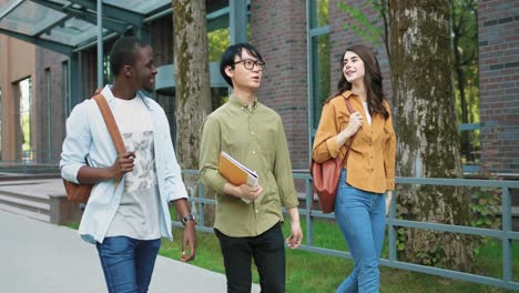 caucasian, asian and african american students talking while walking down the street near the college