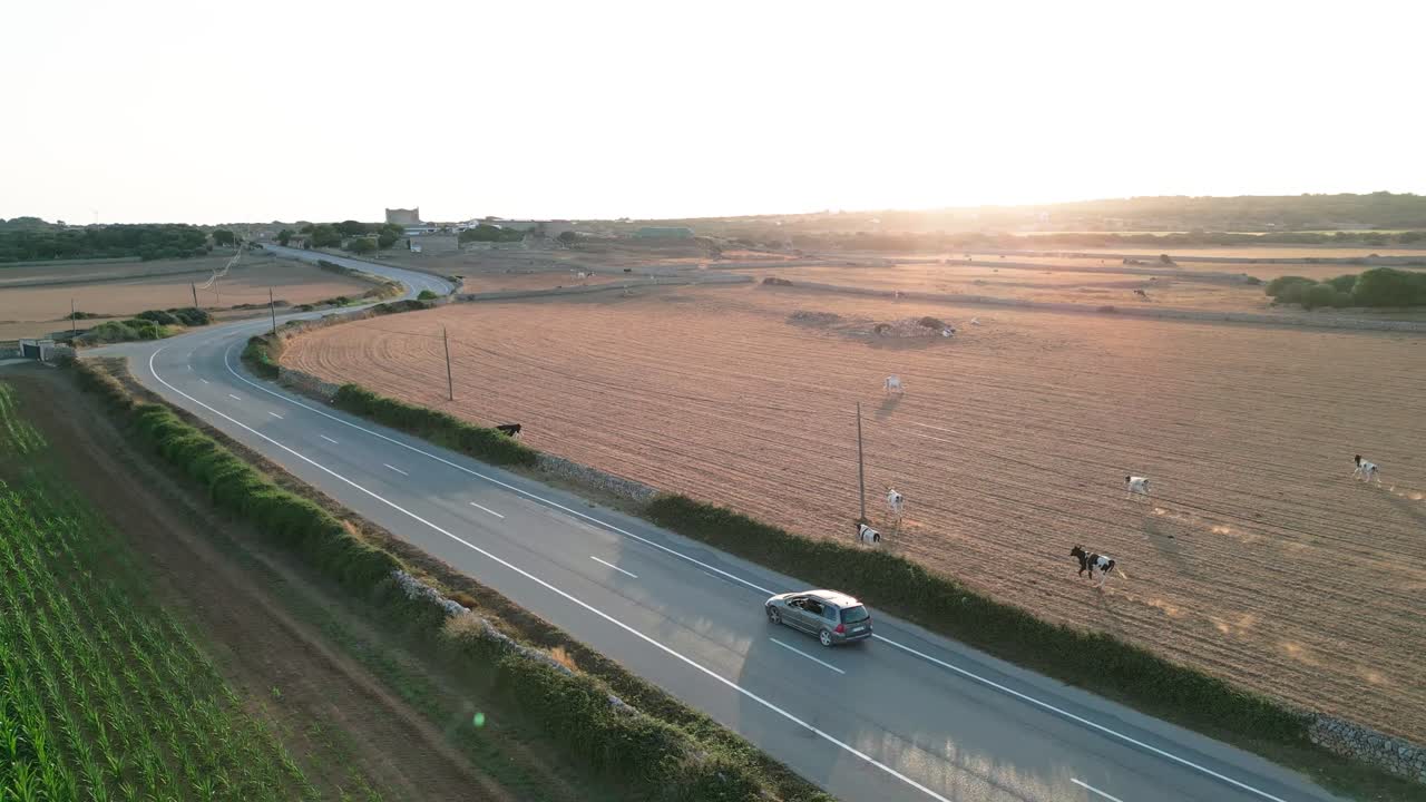 Aerial View of a Rural Road in the Spanish Countryside at Sunset