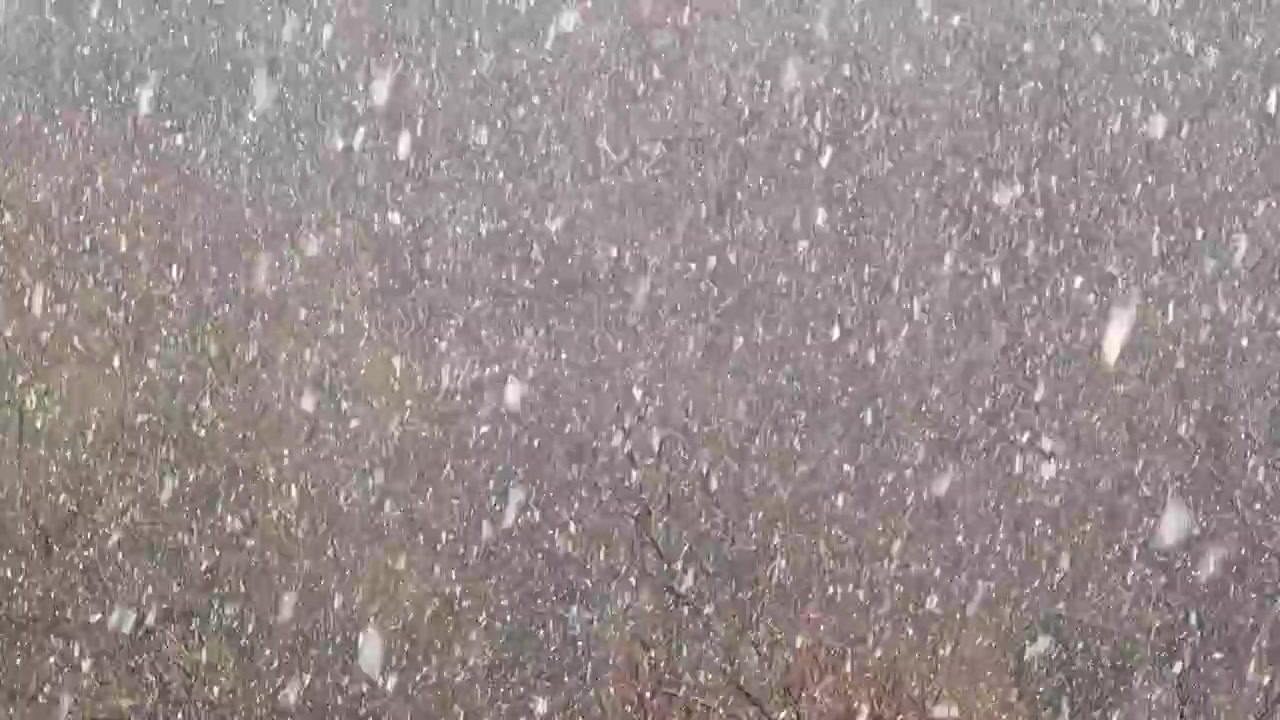 Ventisca en invierno