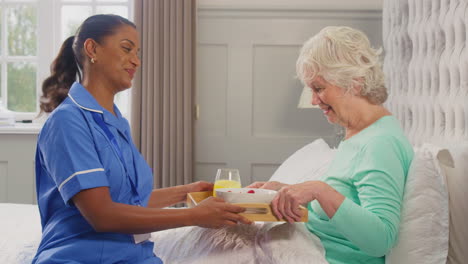 female care worker in uniform bringing senior woman at home breakfast in bed on tray